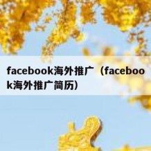 facebook海外推广（facebook海外推广简历）