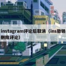 instagram评论后取消（ins撤销删除评论）