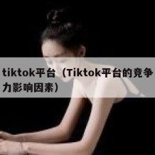 tiktok平台（Tiktok平台的竞争力影响因素）