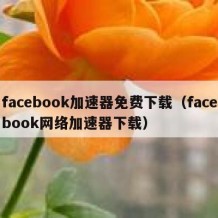 facebook加速器免费下载（facebook网络加速器下载）