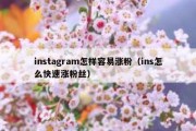 instagram怎样容易涨粉（ins怎么快速涨粉丝）