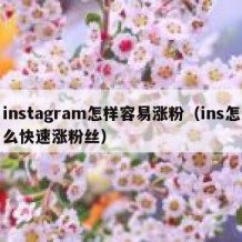 instagram怎样容易涨粉（ins怎么快速涨粉丝）