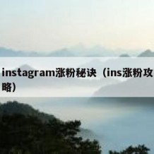 instagram涨粉秘诀（ins涨粉攻略）