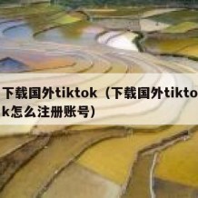 下载国外tiktok（下载国外tiktok怎么注册账号）