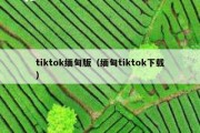 tiktok缅甸版（缅甸tiktok下载）