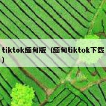 tiktok缅甸版（缅甸tiktok下载）