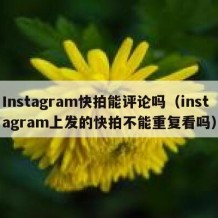 Instagram快拍能评论吗（instagram上发的快拍不能重复看吗）