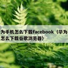 华为手机怎么下载facebook（华为手机怎么下载谷歌浏览器）