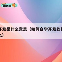 自学开发是什么意思（如何自学开发软件需要学什么）
