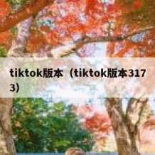 tiktok版本（tiktok版本3173）