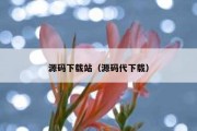 源码下载站（源码代下载）