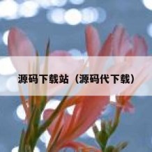 源码下载站（源码代下载）