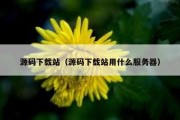 源码下载站（源码下载站用什么服务器）