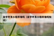 自学开发小程序难吗（自学开发小程序难吗知乎）