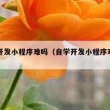 自学开发小程序难吗（自学开发小程序难吗知乎）