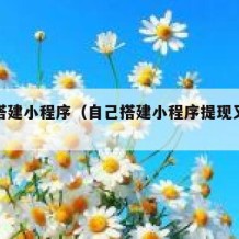 自己搭建小程序（自己搭建小程序提现又手续费么）