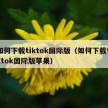 如何下载tiktok国际版（如何下载tiktok国际版苹果）