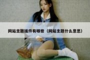 网站主题插件有哪些（网站主题什么意思）