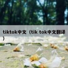 tiktok中文（tik tok中文翻译）