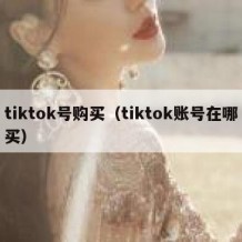 tiktok号购买（tiktok账号在哪买）