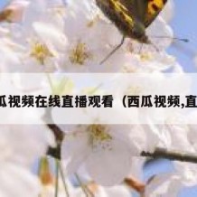 西瓜视频在线直播观看（西瓜视频,直播）