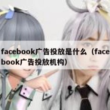 facebook广告投放是什么（facebook广告投放机构）