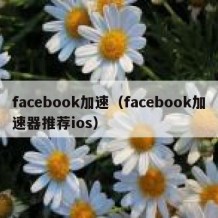 facebook加速（facebook加速器推荐ios）