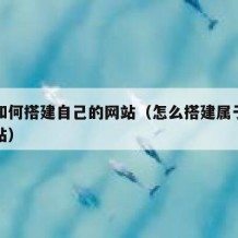 国内如何搭建自己的网站（怎么搭建属于自己的网站）