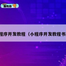 小程序开发教程（小程序开发教程书籍）