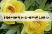 小程序开源代码（小程序开源代码在哪里找）