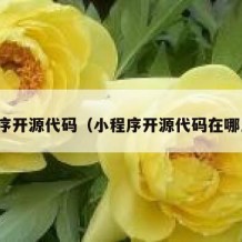 小程序开源代码（小程序开源代码在哪里找）