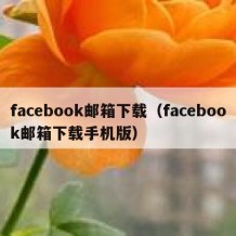 facebook邮箱下载（facebook邮箱下载手机版）