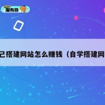 自己搭建网站怎么赚钱（自学搭建网站）