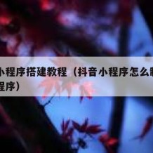 抖音小程序搭建教程（抖音小程序怎么制作自己的程序）