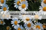 tiktok18（tiktok18+怎么看）