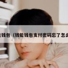 钱能钱包（钱能钱包支付密码忘了怎么办）