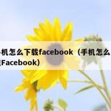 手机怎么下载facebook（手机怎么下载Facebook）