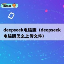 deepseek电脑版（deepseek电脑版怎么上传文件）