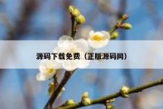 源码下载免费（正版源码网）