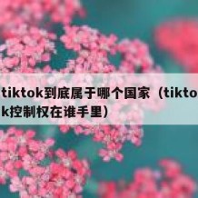 tiktok到底属于哪个国家（tiktok控制权在谁手里）