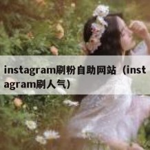 instagram刷粉自助网站（instagram刷人气）