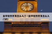 自学软件开发怎么入门（自学软件开发怎么入门的）