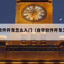 自学软件开发怎么入门（自学软件开发怎么入门的）