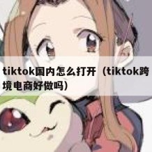 tiktok国内怎么打开（tiktok跨境电商好做吗）