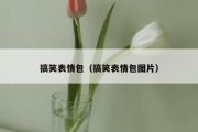 搞笑表情包（搞笑表情包图片）