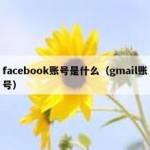 facebook账号是什么（gmail账号）