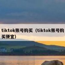 tiktok账号购买（tiktok账号购买便宜）