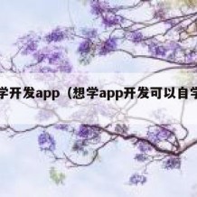 自学开发app（想学app开发可以自学吗）