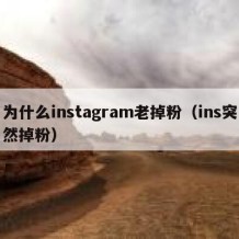 为什么instagram老掉粉（ins突然掉粉）