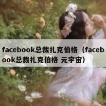 facebook总裁扎克伯格（facebook总裁扎克伯格 元宇宙）